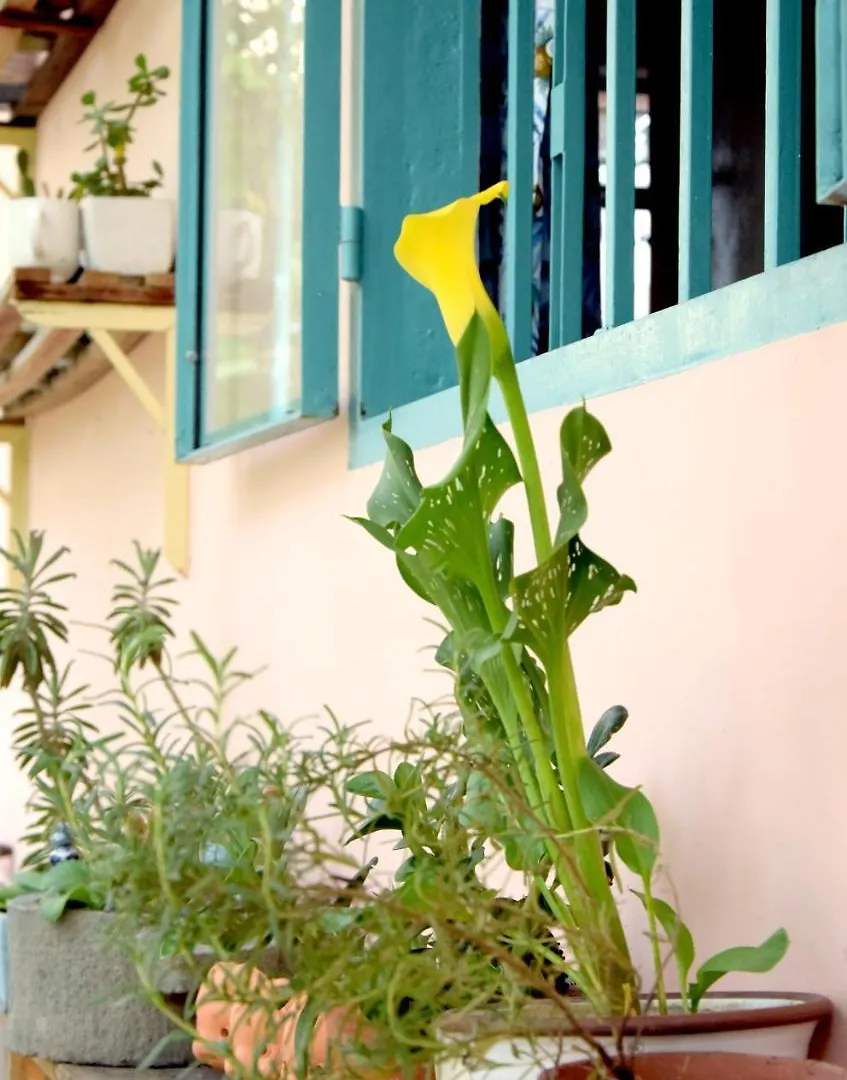 Bed and Breakfast Py'S House Nha Trang 0*,